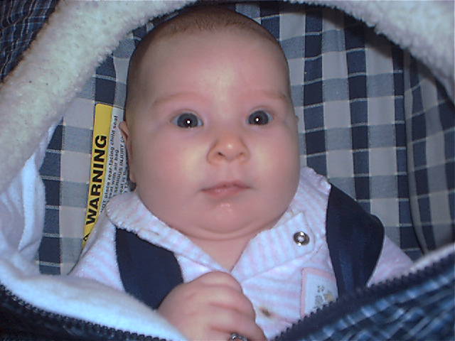 avery s page