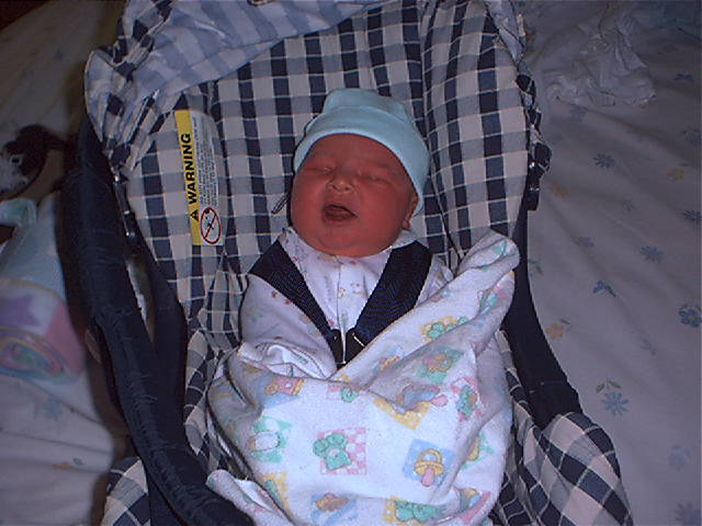 avery s page