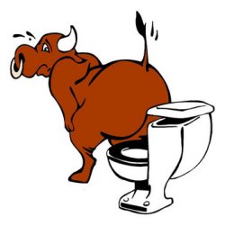 It's in the toilet!