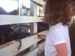 paige feeding cow 1
