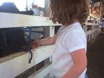 pagie feeding cow 3