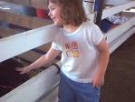paige petting cow 1