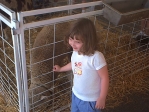 paige with sheep2
