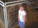 paige with sheep3