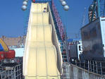 paige on slide 5